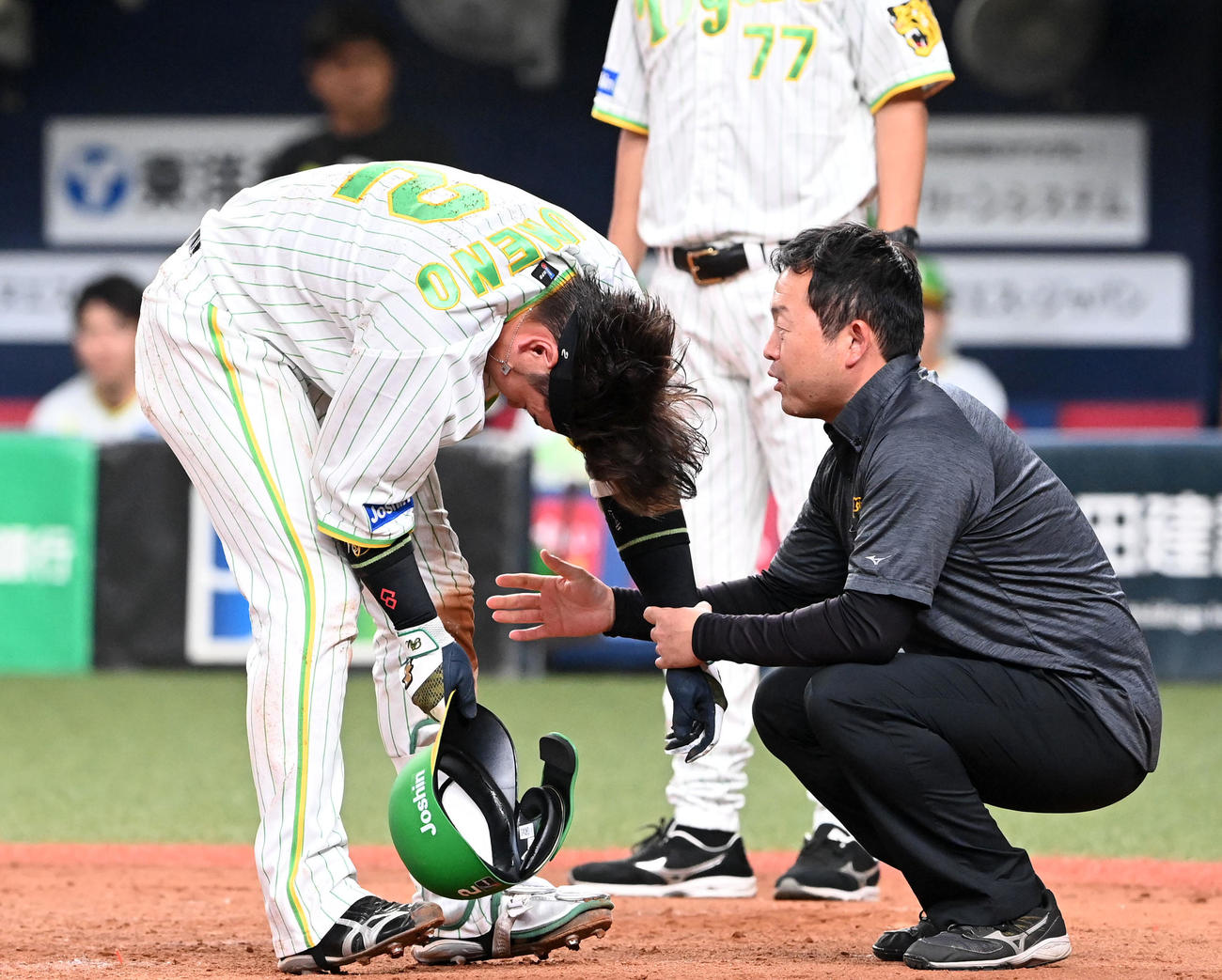 阪神対ヤクルト　5回裏阪神1死、死球を受け治療を受ける梅野はそのまま交代する（撮影・前岡正明）