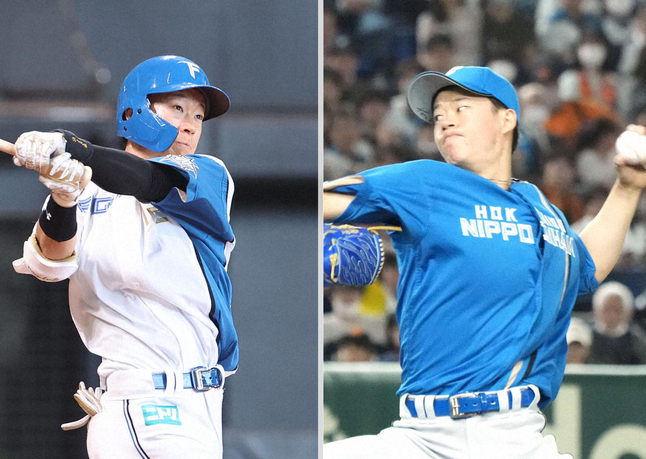 日本ハム矢沢宏太