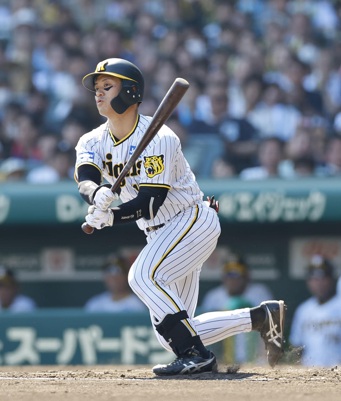 阪神坂本誠志郎（23年6月17日撮影）