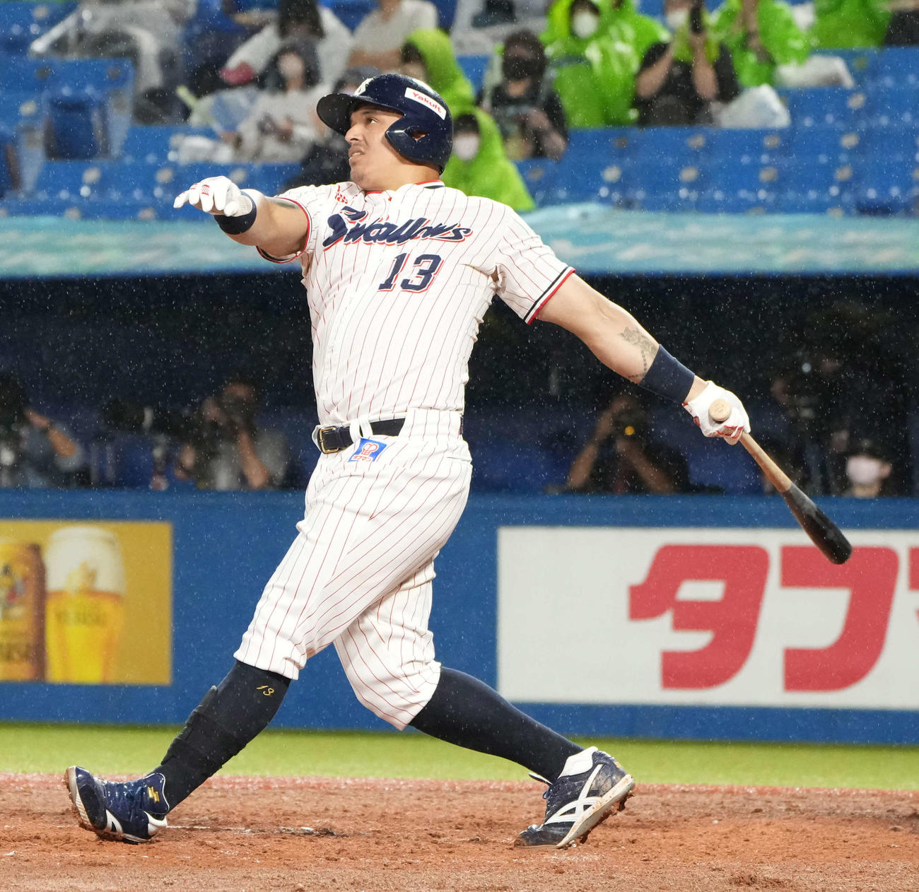 ヤクルト・オスナ（2023年6月撮影）