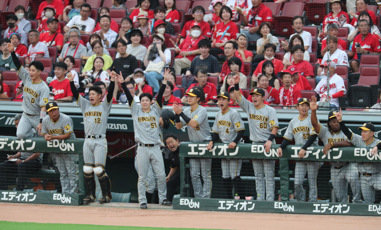 広島対阪神　1回表阪神1死三塁、森下翔太は左越えに先制2点本塁打を放つ、大喜びのナイン（撮影・梅根麻紀）