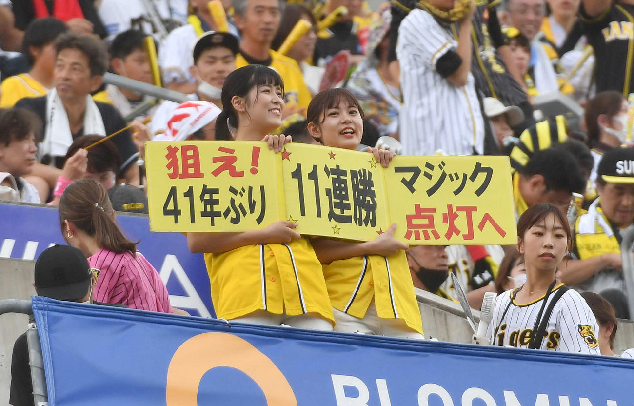 広島対阪神　11連勝とマジック点灯を期待する阪神ファン（撮影・岩下翔太）
