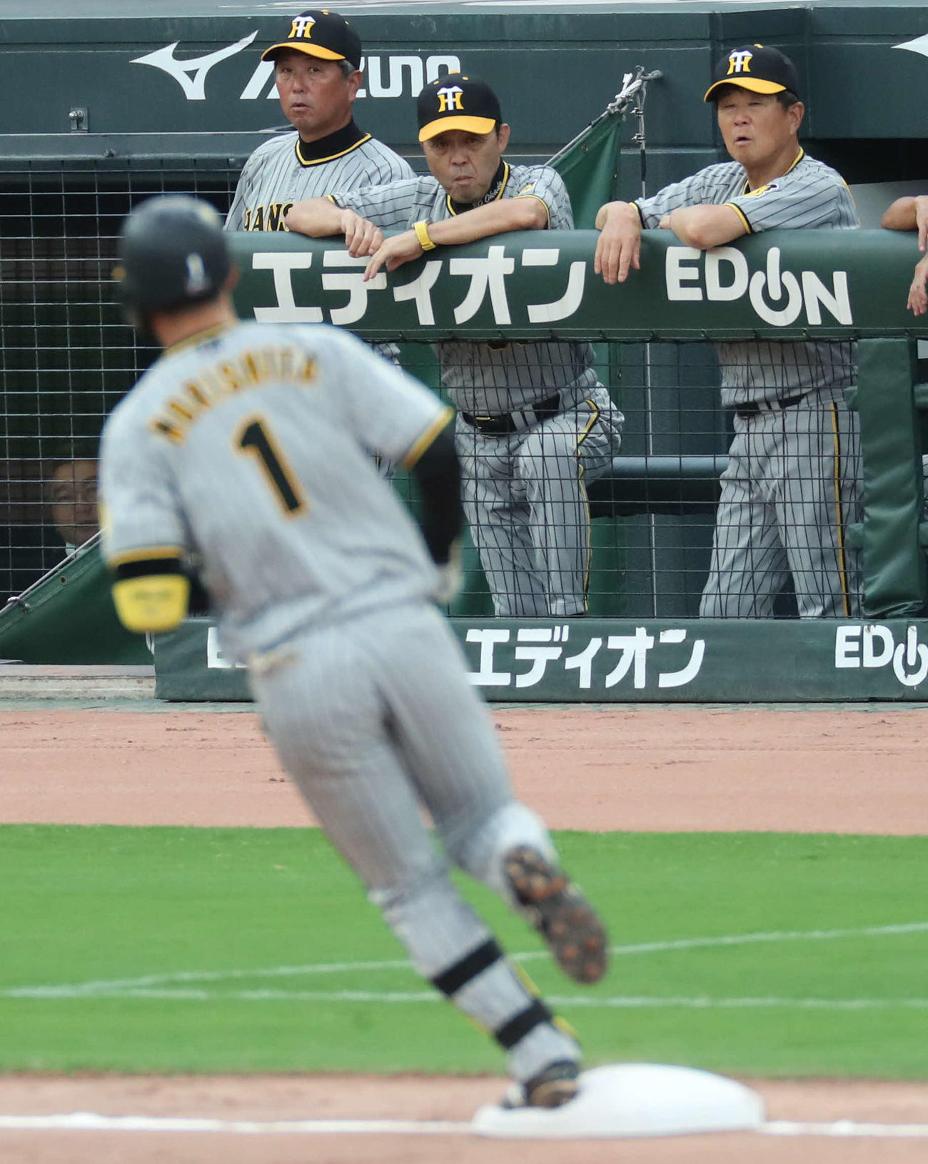 広島対阪神　1回表阪神1死三塁、岡田監督（中央）は2点先制本塁打を放った森下見つめる（撮影・梅根麻紀）