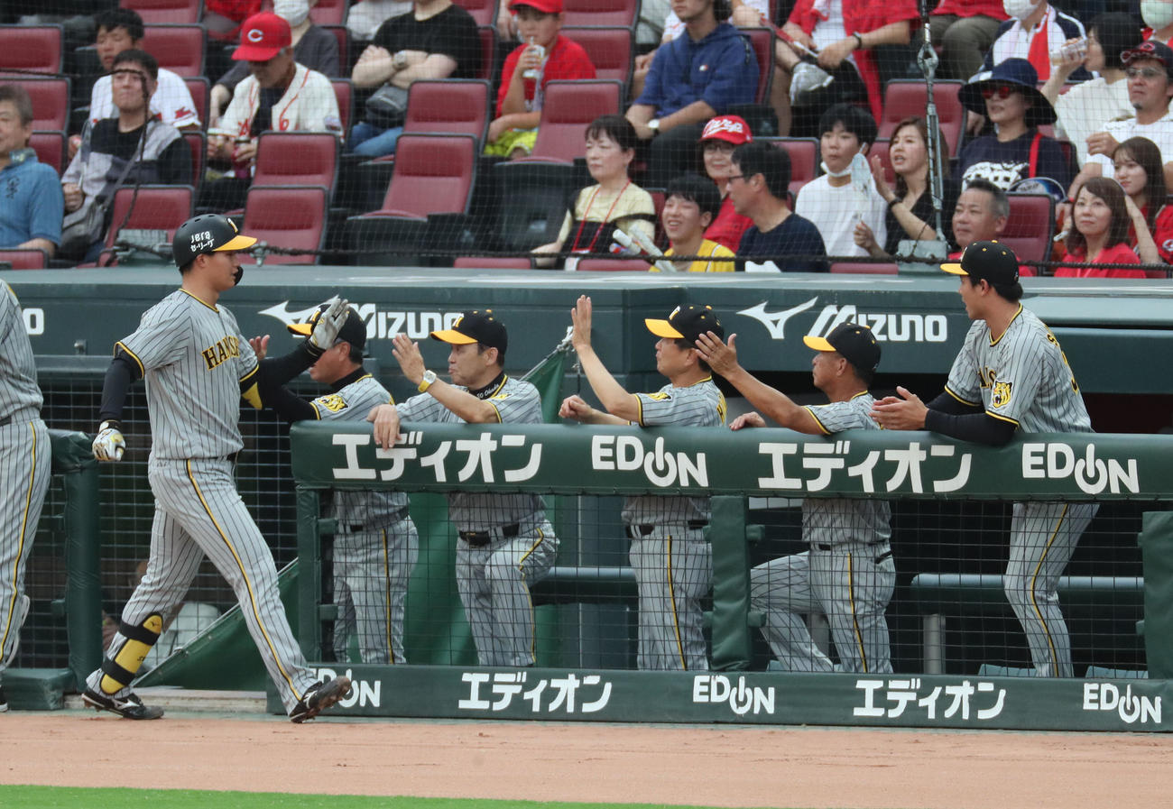 広島対阪神　1回表阪神1死三塁、森下翔太は左越えに先制2点本塁打を放つ、ナインとハイタッチをかわす（撮影・梅根麻紀）