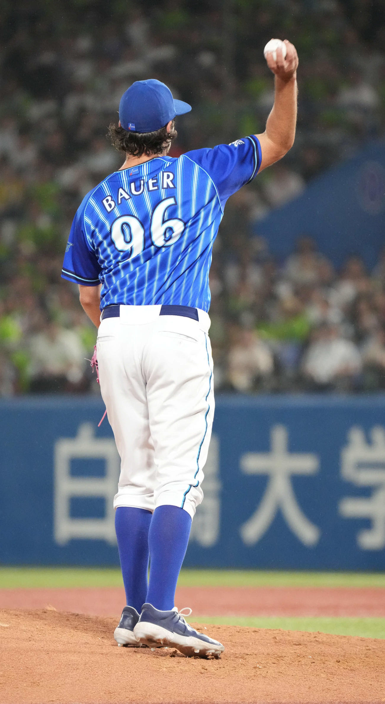 ヤクルト対DeNA、3回裏ヤクルト2死、浜田の投ゴロを背面キャッチし一塁へ送球するDeNA先発のバウアー（撮影・小沢裕）
