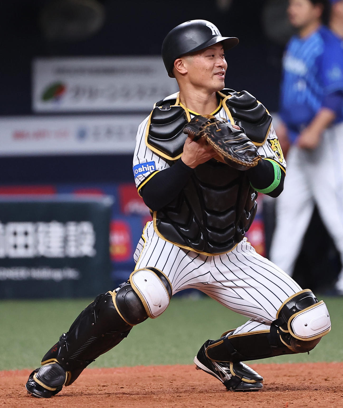 阪神坂本誠志郎