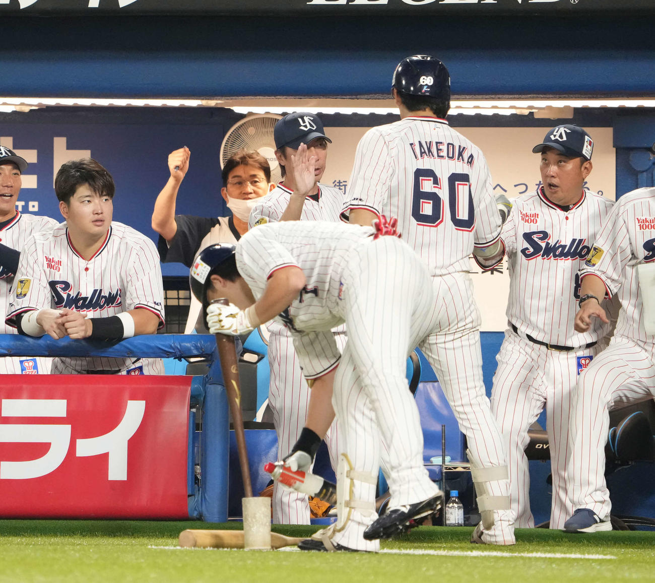 ヤクルト対DeNA、7回裏ヤクルト1死、武岡は中越えにソロ本塁打を放ち高津監督（中央）らベンチのナインの祝福を受ける（撮影・小沢裕）