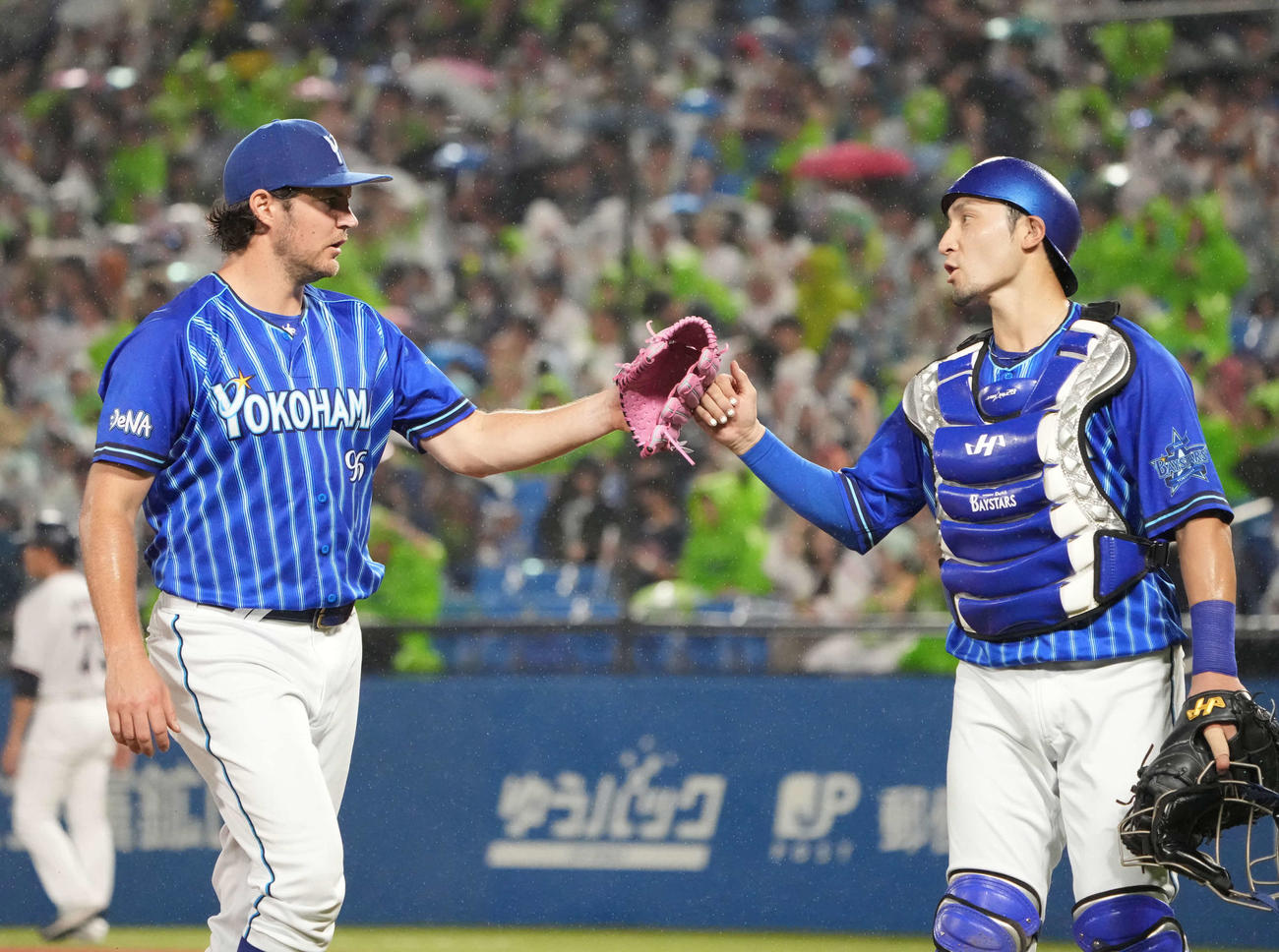 ヤクルト対DeNA、4回裏の投球を終えグラブタッチするDeNA先発のバウアー（左）と伊藤（撮影・小沢裕）