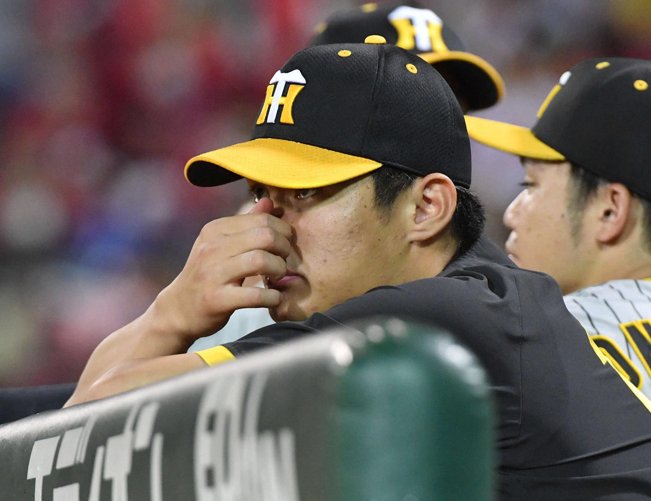 広島対阪神　6回裏終了後、ベンチの西純（撮影・岩下翔太）