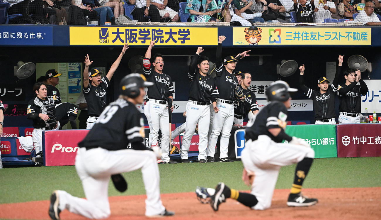 オリックス対ソフトバンク　3回表ソフトバンク2死満塁、柳町の適時打で逆転し盛り上がるソフトバンクナイン（撮影・和賀正仁）