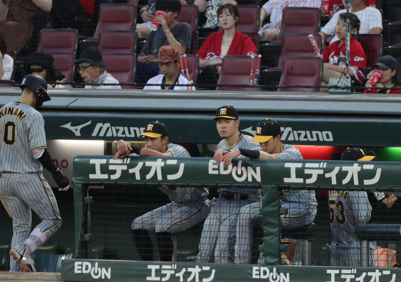 広島対阪神　ベンチで試合を見つめる佐藤輝（中央）（撮影・梅根麻紀）