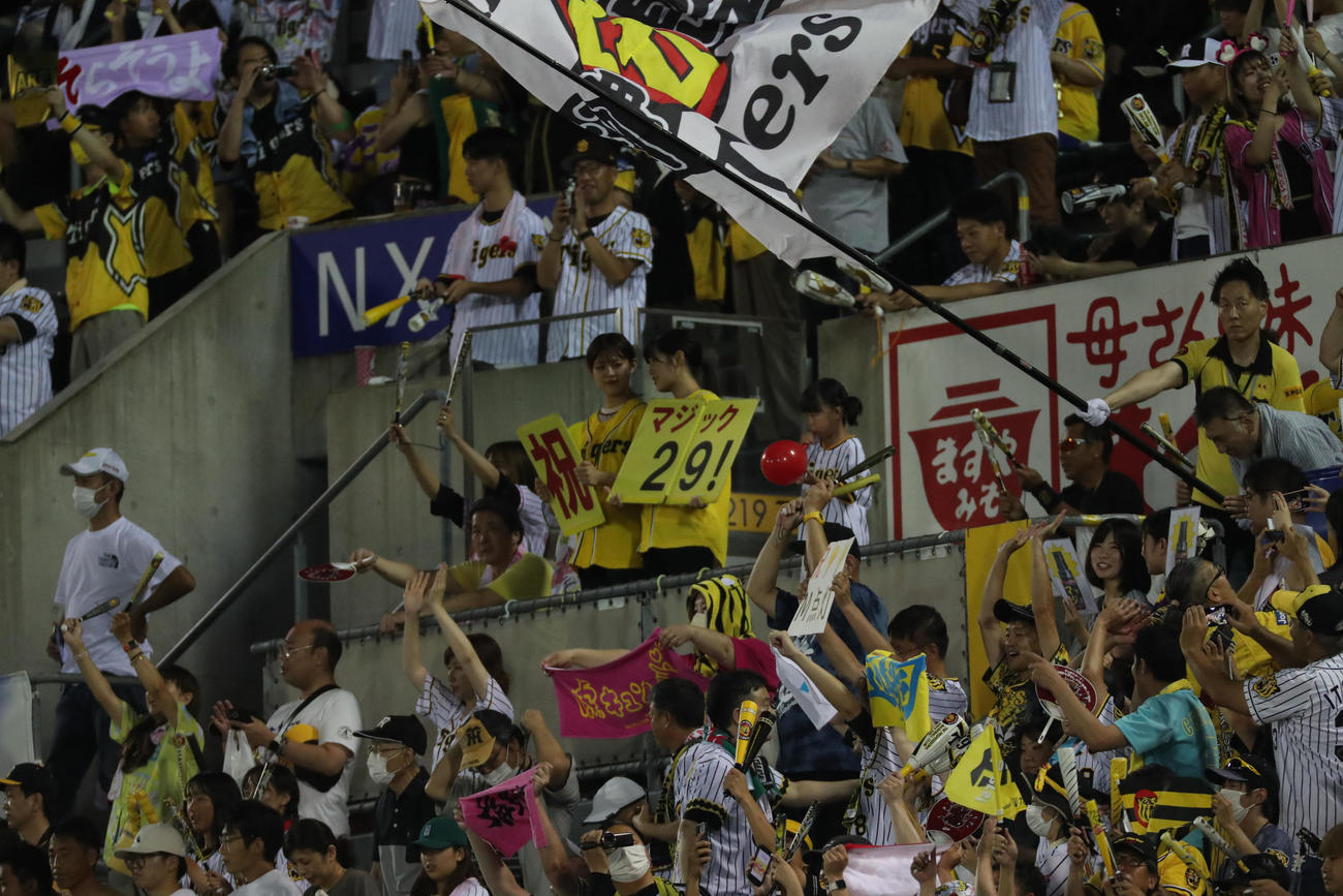 広島対阪神　マジック29！のボードを掲げる阪神ファン（撮影・梅根麻紀）