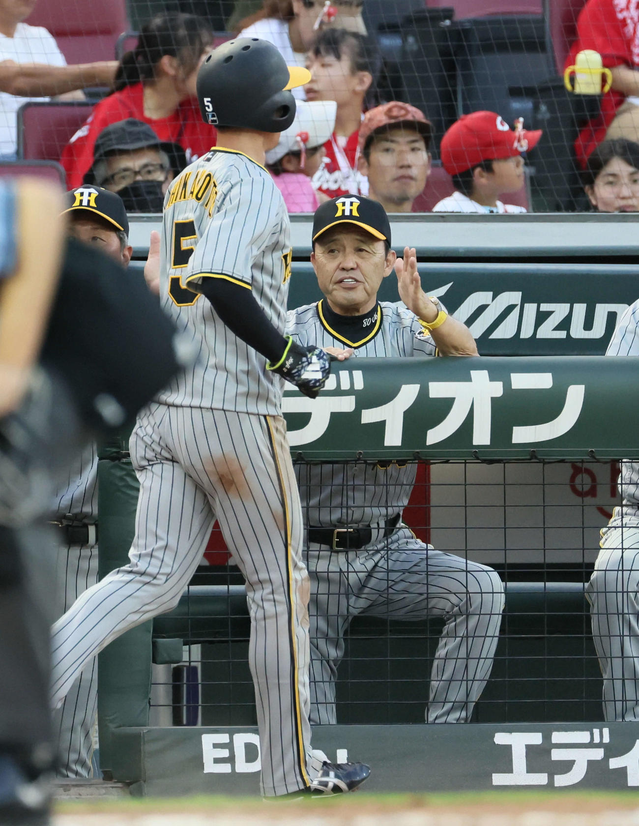 広島対阪神　2回表阪神2死二塁、中野の右前適時打で生還した近本を迎える岡田監督（撮影・加藤孝規）