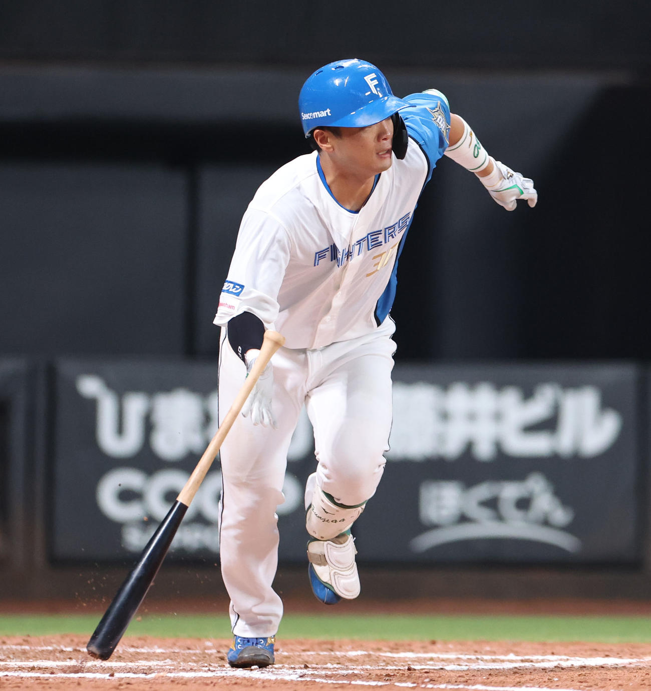 日本ハム郡司裕也（2023年8月4日撮影）
