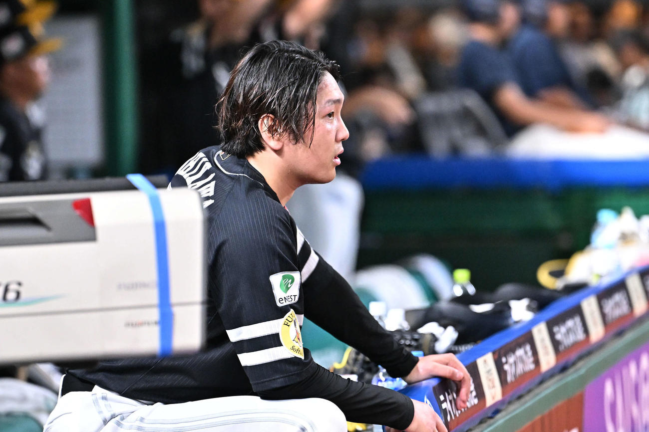 ベンチから戦況を見つめるソフトバンク石川柊太（2023年8月2日撮影）