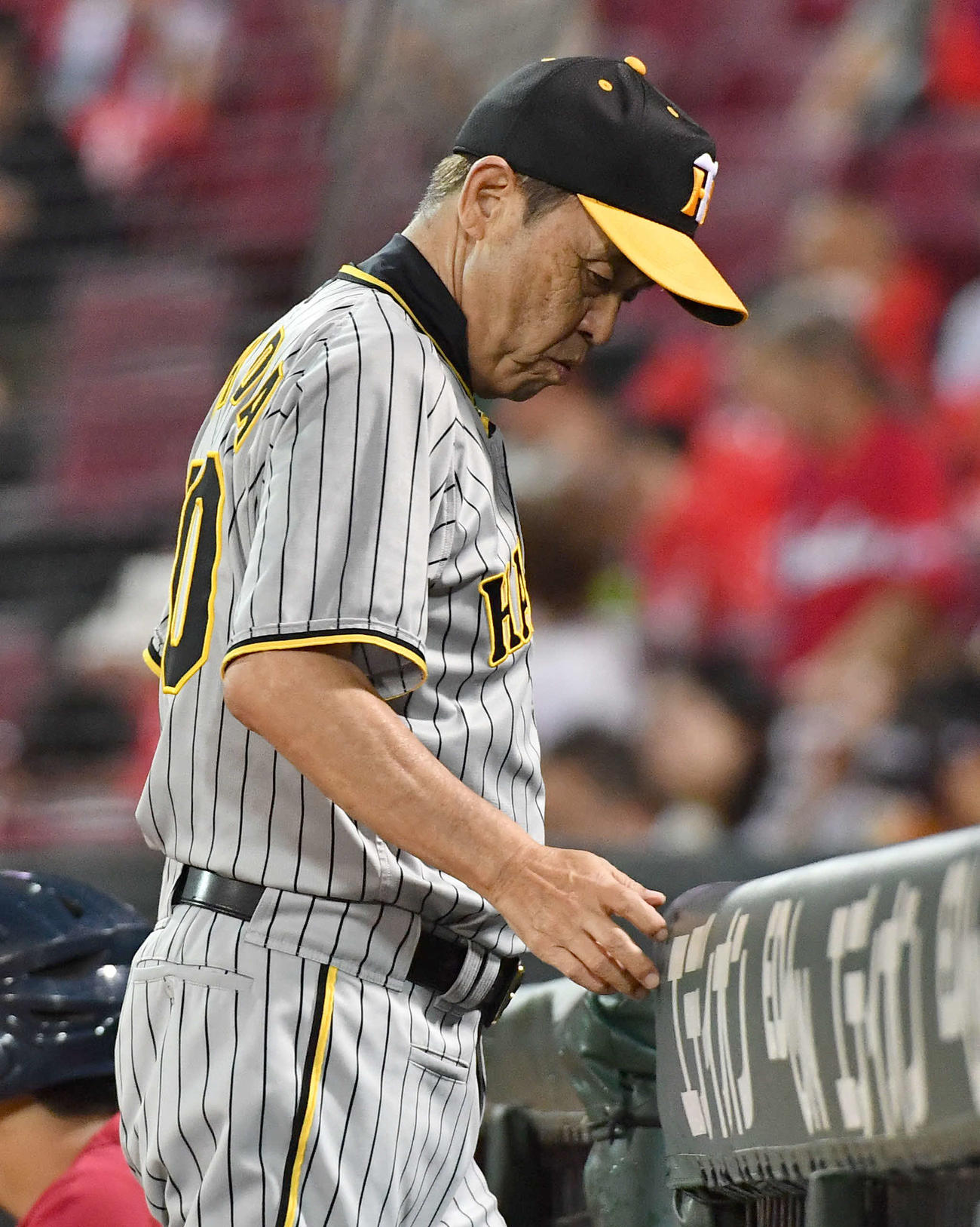 広島対阪神　6回表の攻撃を終え、投手の交代を告げてベンチへ戻る岡田監督（撮影・岩下翔太）