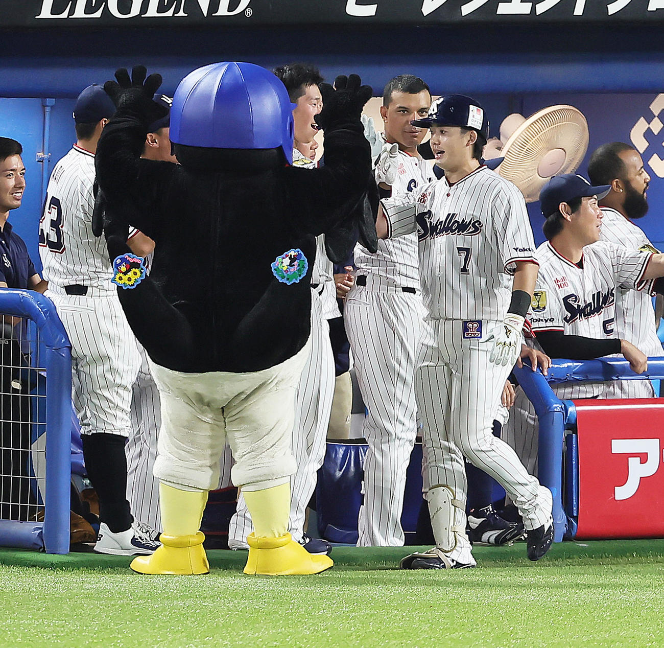 ヤクルト対中日　4回裏ヤクルト2死二、三塁、長岡（右）は右越え3点本塁打を放ちつば九郎らとタッチを交わす（撮影・足立雅史）