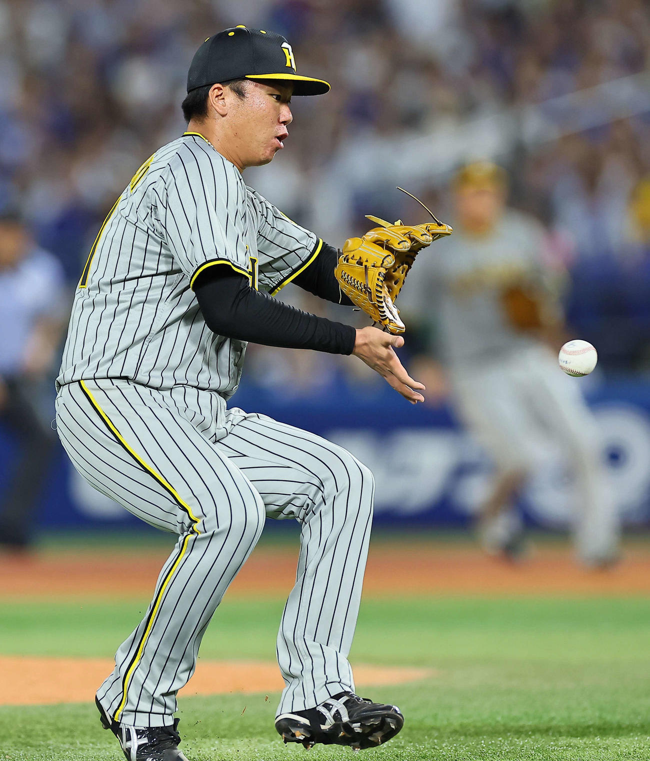 DeNA対阪神　6回裏DeNA2死、宮崎の投ゴロをさばく村上（撮影・上田博志）