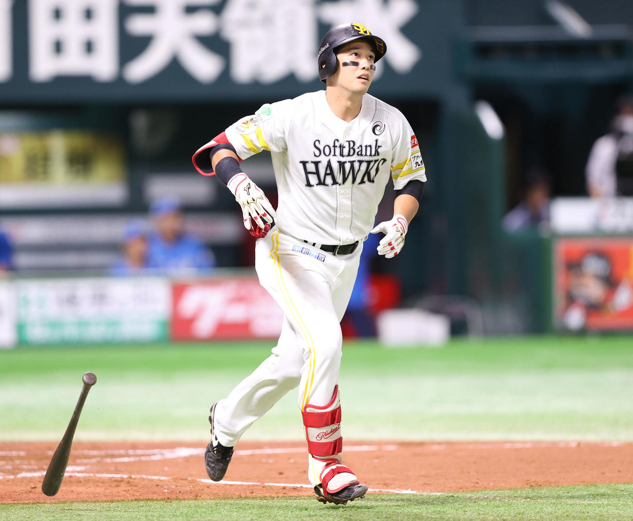 ソフトバンク対西武　3回裏ソフトバンク無死、栗原は右越え本塁打を放つ（撮影・冨田成美）