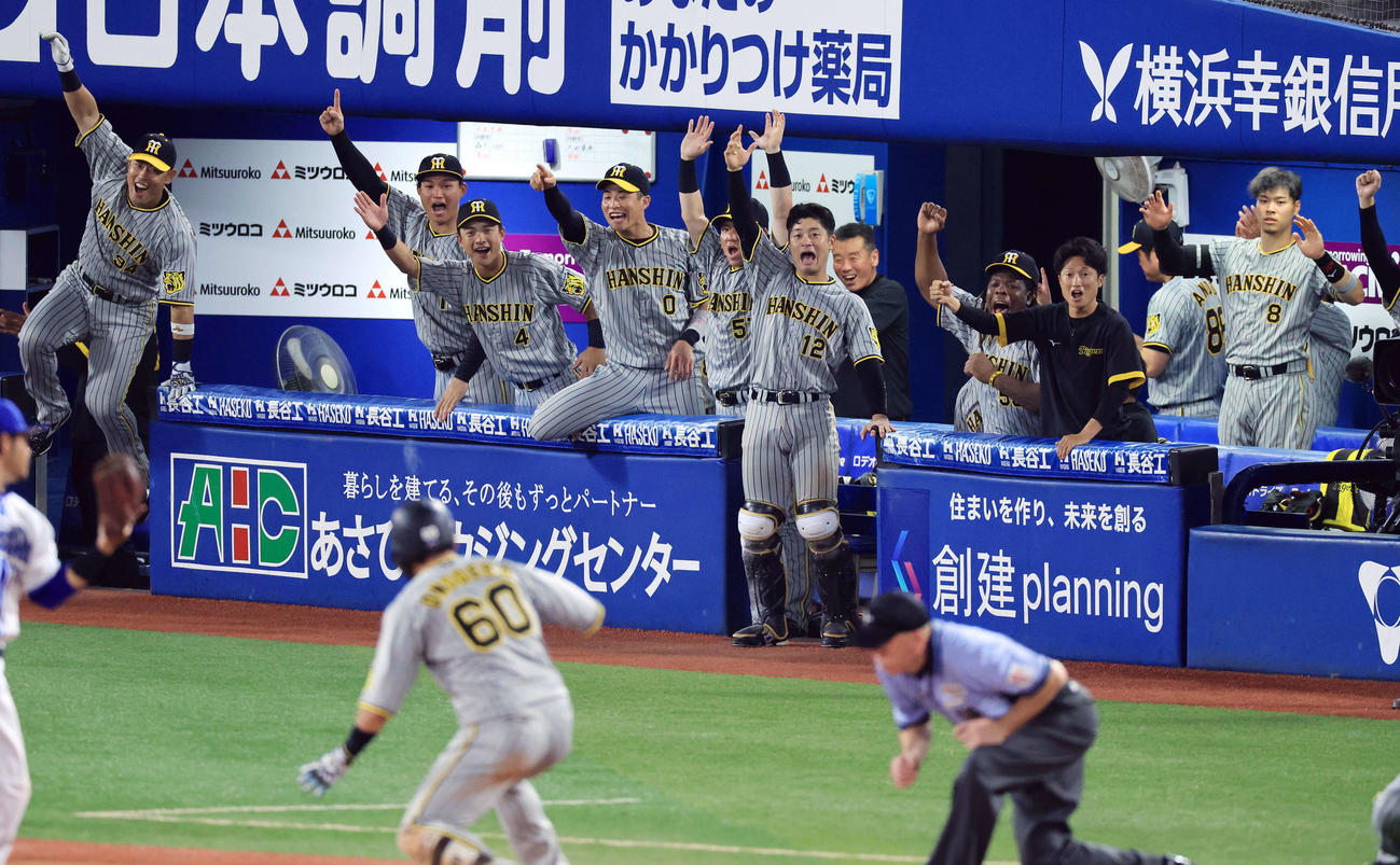DeNA対阪神　6回表阪神1死二塁、小野寺（手前）が右越え適時三塁打を放ち、大喜びの阪神ベンチ（撮影・浅見桂子）
