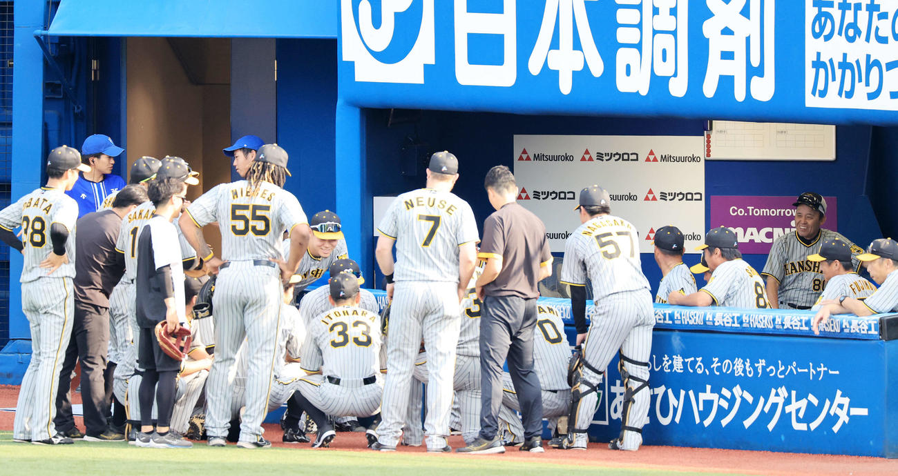 DeNA対阪神　試合前円陣を、笑顔で見つめる阪神岡田監督（右奥）（撮影・浅見桂子）