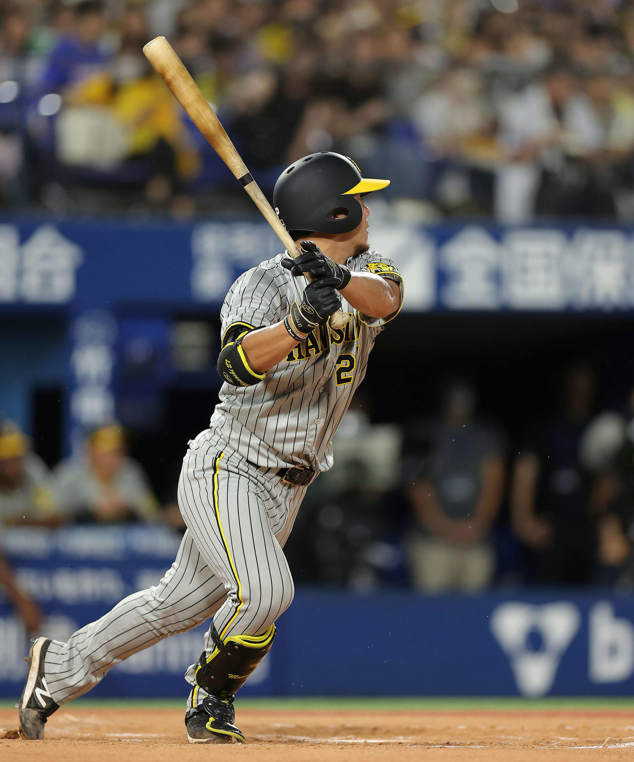 DeNA対阪神　7回表阪神無死、左前打を放つ伊藤将（撮影・河田真司）