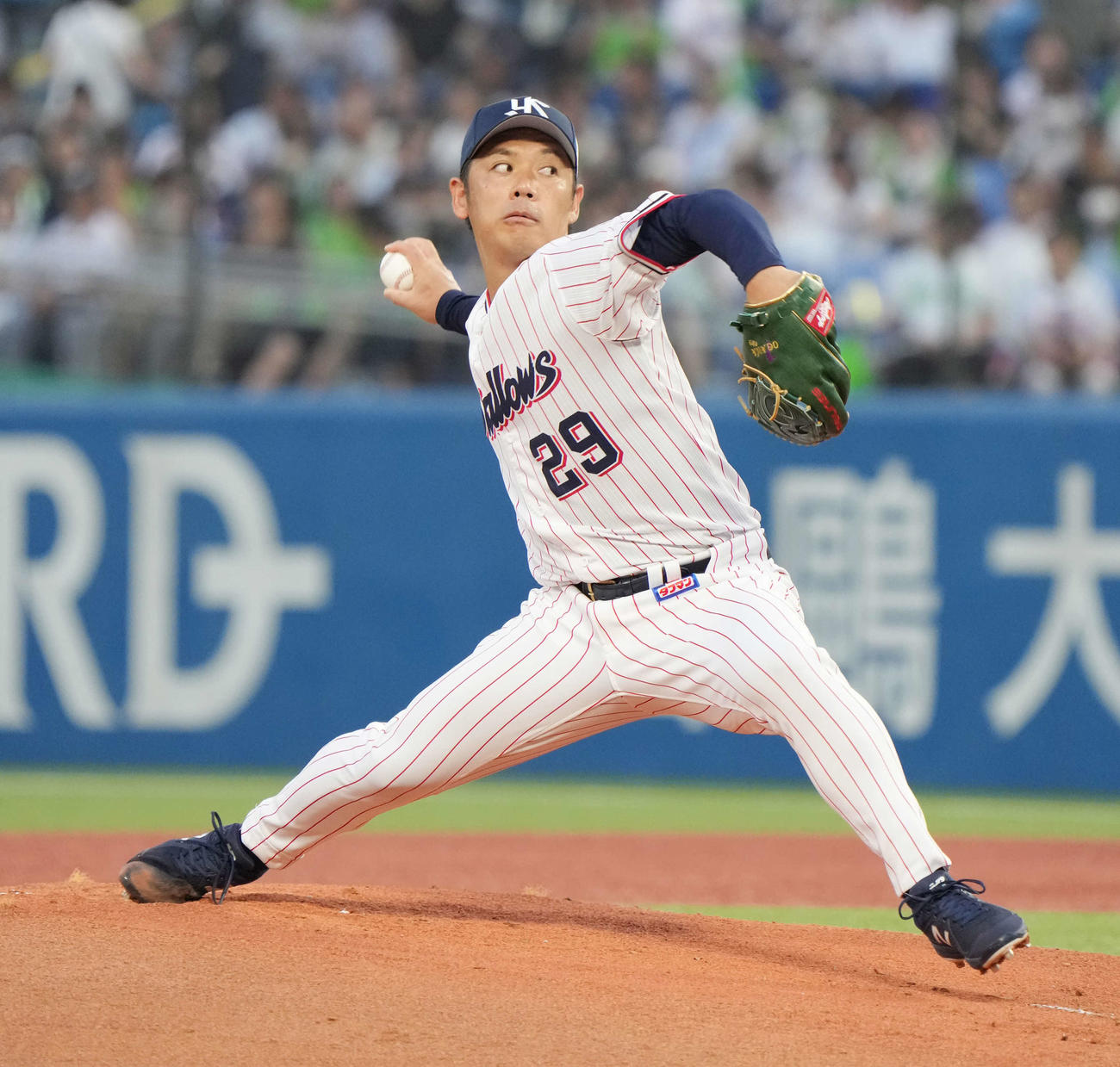 ヤクルト小川泰弘（2023年8月16日撮影）