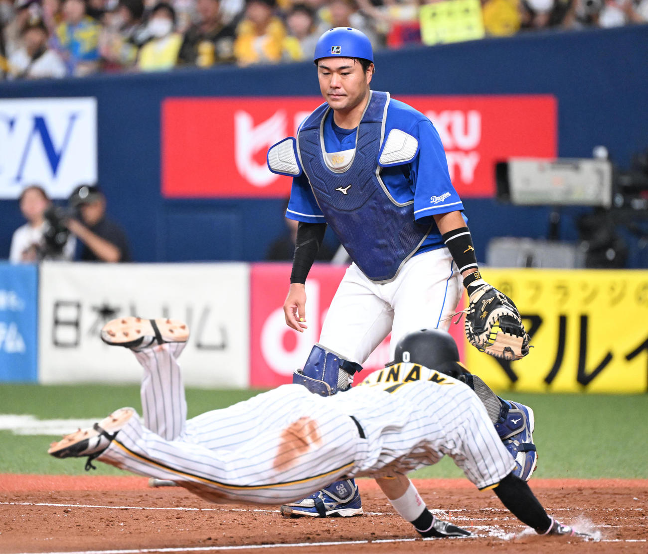 阪神対中日　3回裏阪神1死二、三塁、中野の左飛で生還する木浪、捕手木下（撮影・和賀正仁）