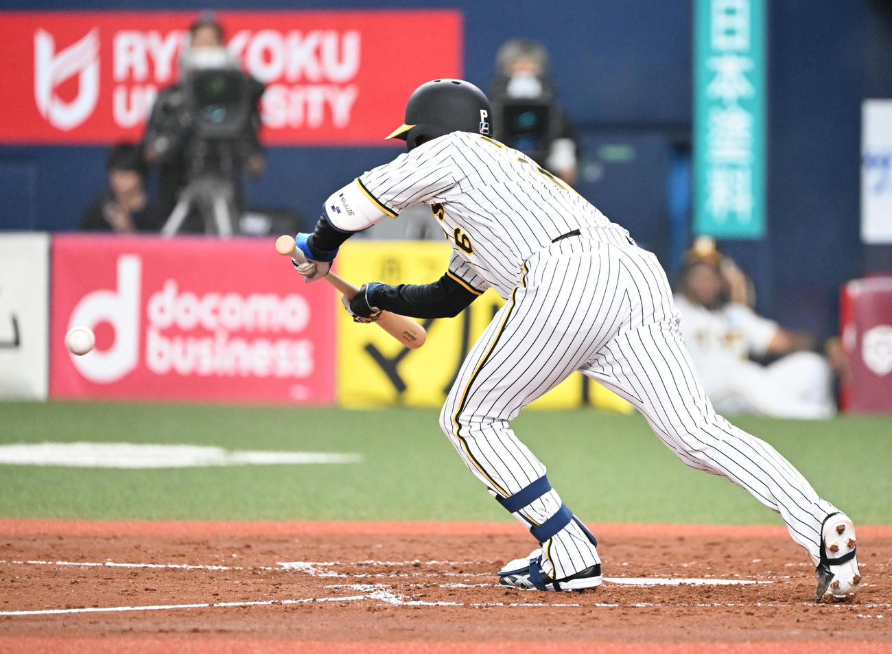 阪神対中日　3回裏阪神無死一塁、投前に犠打を決める西勇（撮影・和賀正仁）