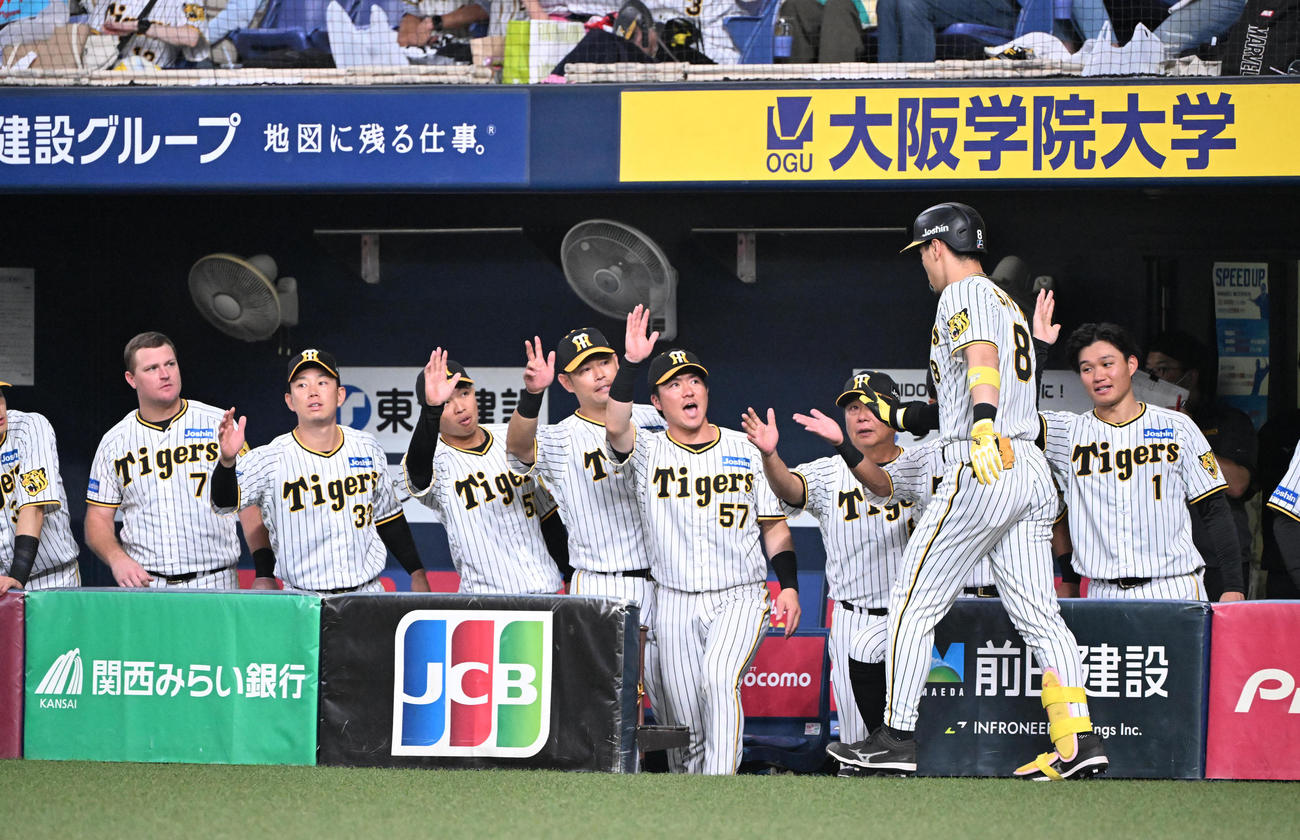 阪神対中日　4回裏阪神無死、右中間にソロ本塁打を放った佐藤輝はナインの出迎えを受ける（撮影・和賀正仁）