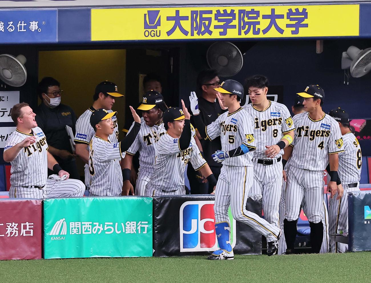 阪神対中日　6回裏阪神無死、近本は右越えソロ本塁打を放ちナインの出迎えを受ける（撮影・上田博志）