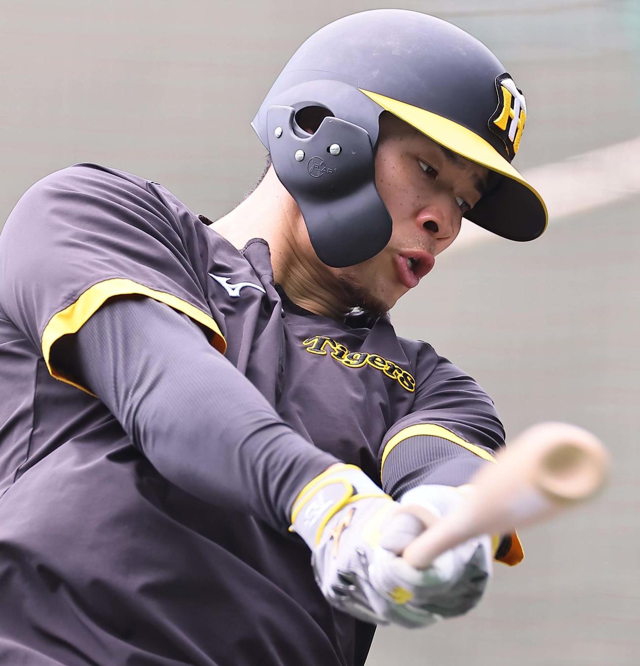 打撃練習をする佐藤輝（撮影・上田博志）