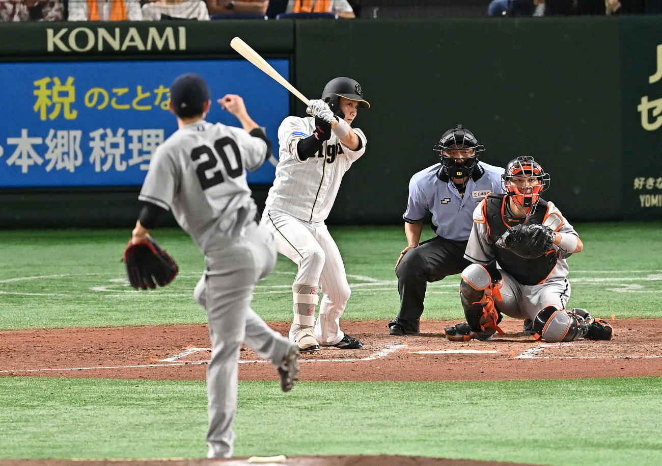 2023年8月10日、巨人対阪神　5回表阪神1死、木浪は左前打を放つ。投手戸郷