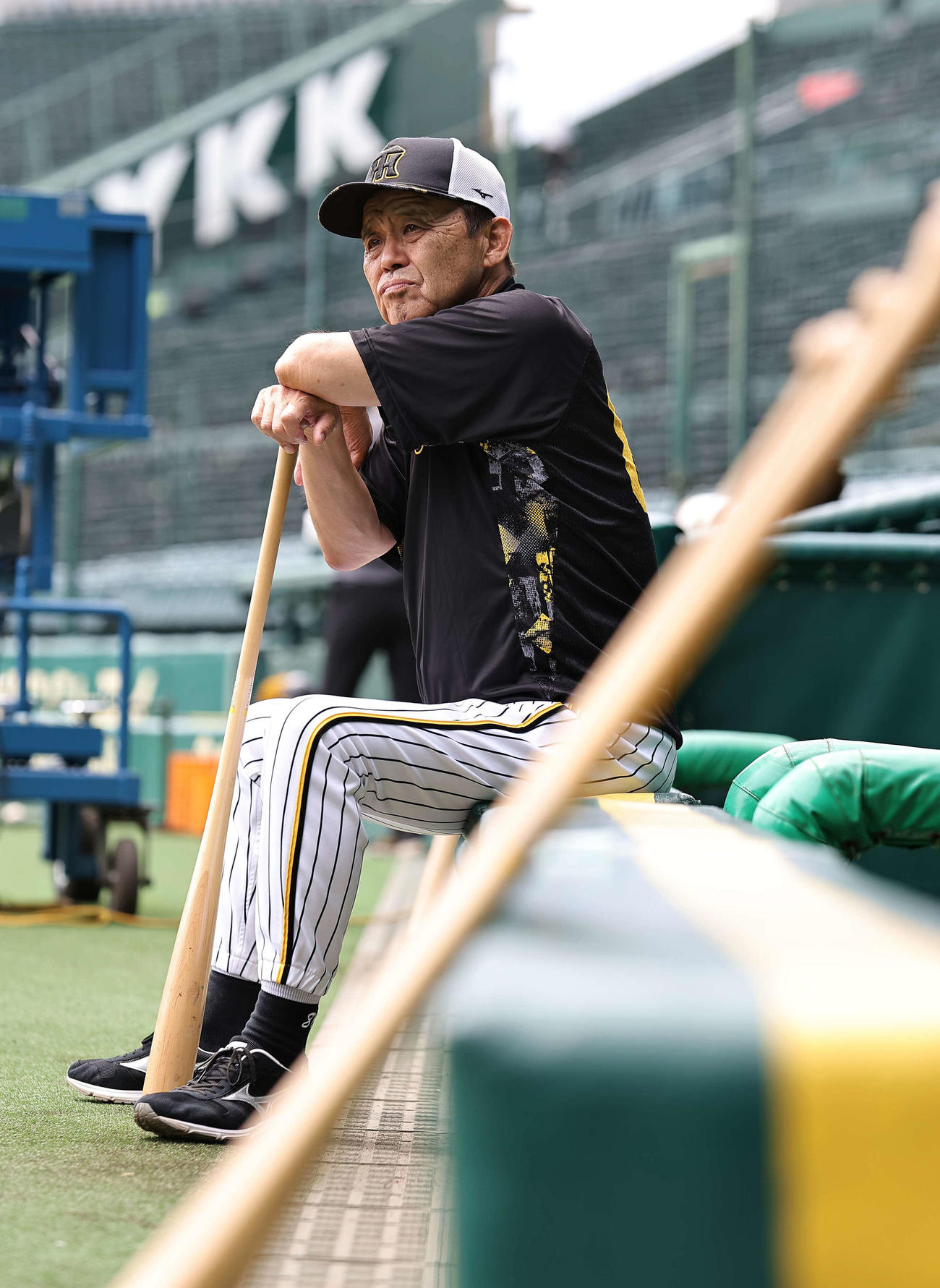ベンチ前に座りナインの練習を見守る岡田監督（撮影・上田博志）
