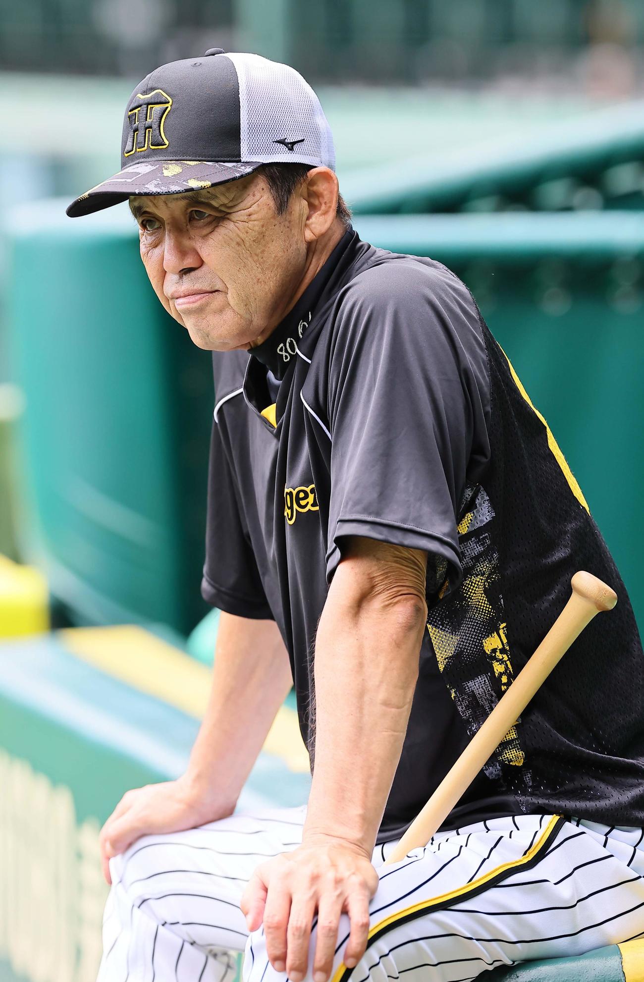 ベンチ前で練習を見守る岡田監督（撮影・上田博志）