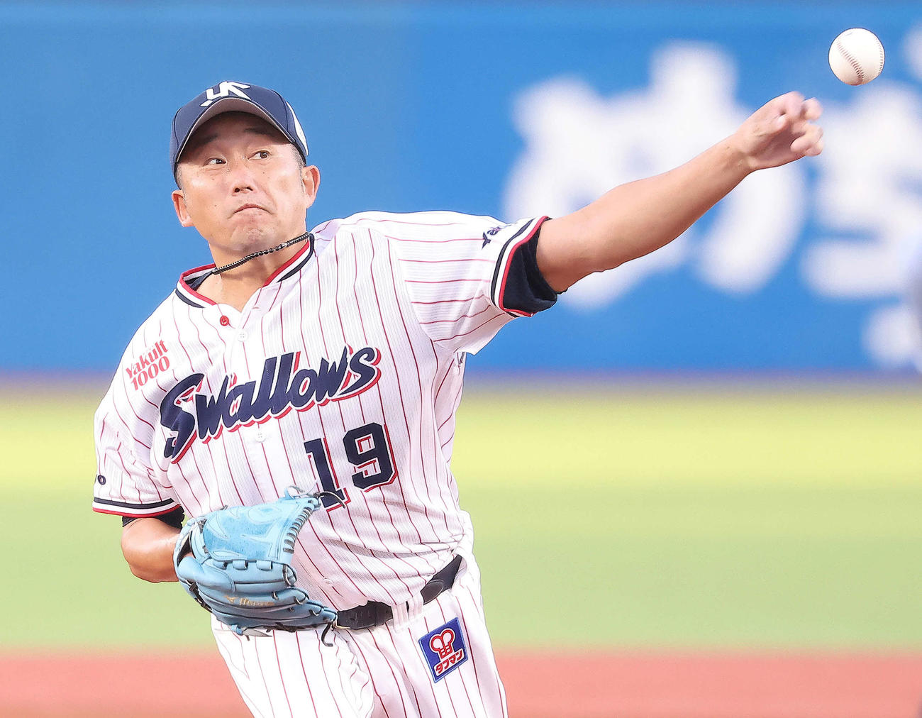 ヤクルト石川雅規（2023年8月8日撮影）