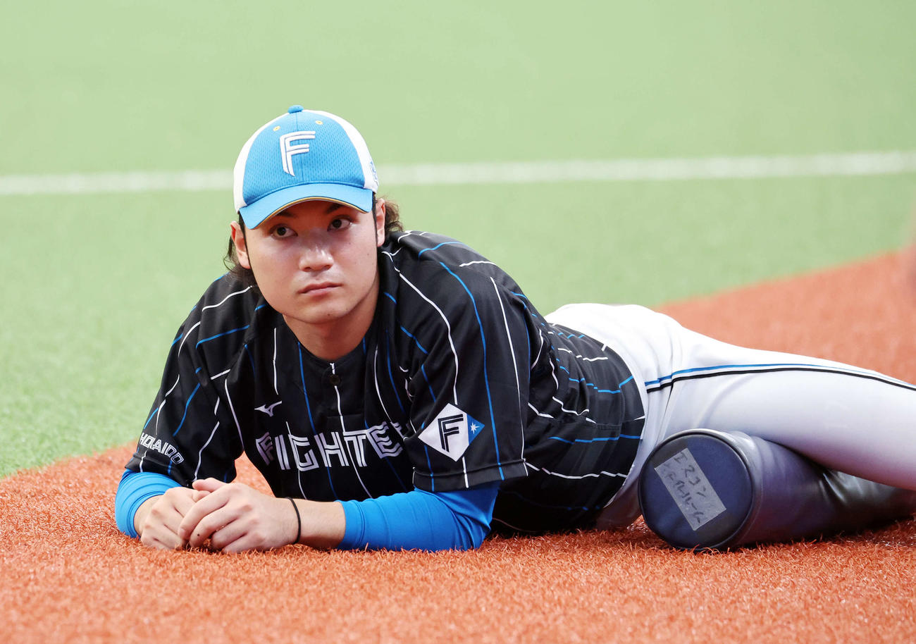 西武対日本ハム　ストレッチする日本ハム伊藤（撮影・鈴木正人）