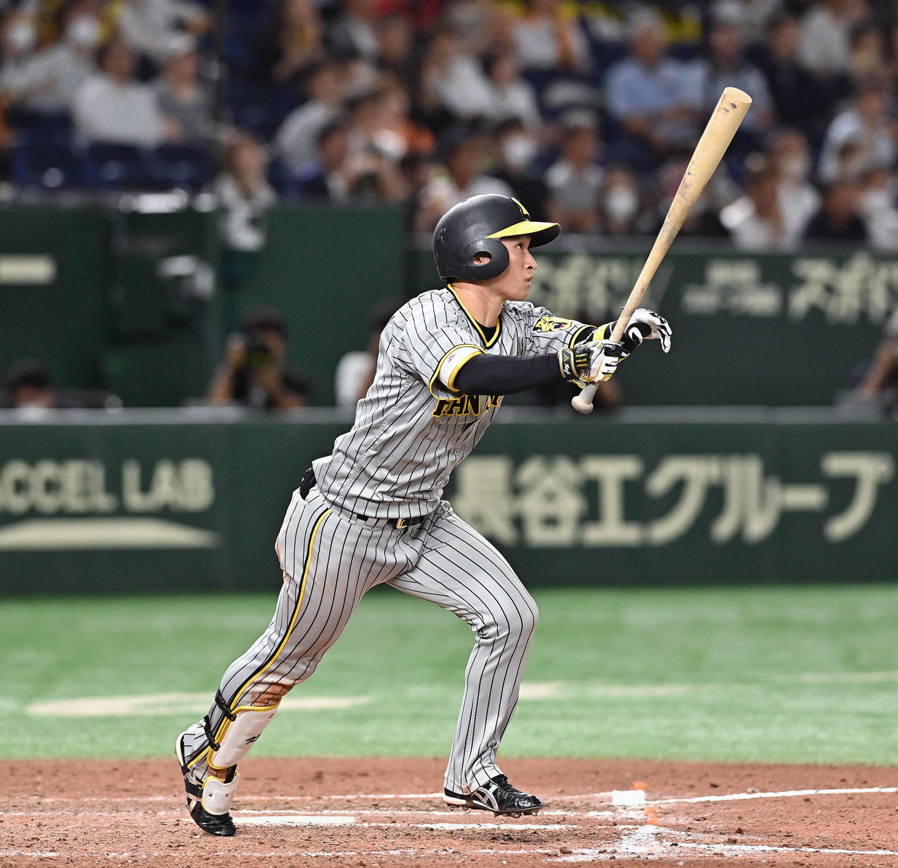 巨人対阪神　8回表阪神1死、近本は右越えソロ本塁打を放つ（撮影・滝沢徹郎）