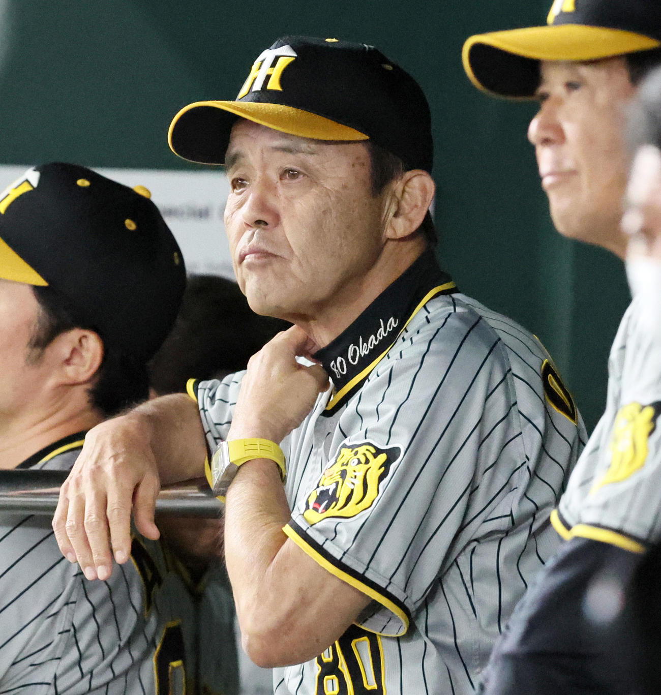 巨人対阪神　5回表、ベンチで試合展開を見守る岡田監督（撮影・加藤哉）