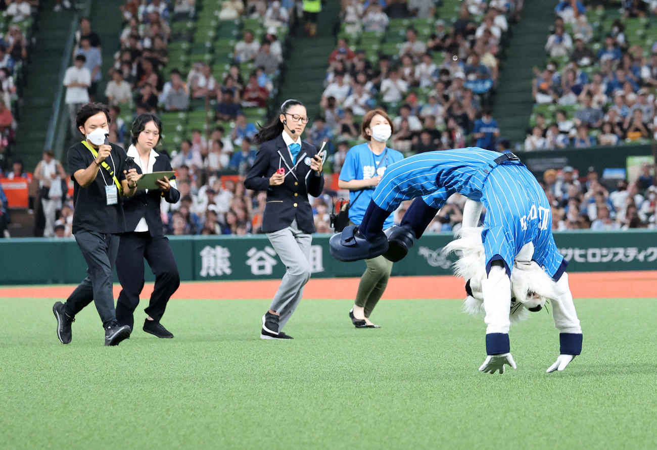 ギネス世界記録に挑戦する西武マスコットのレオ（撮影・鈴木正人）
