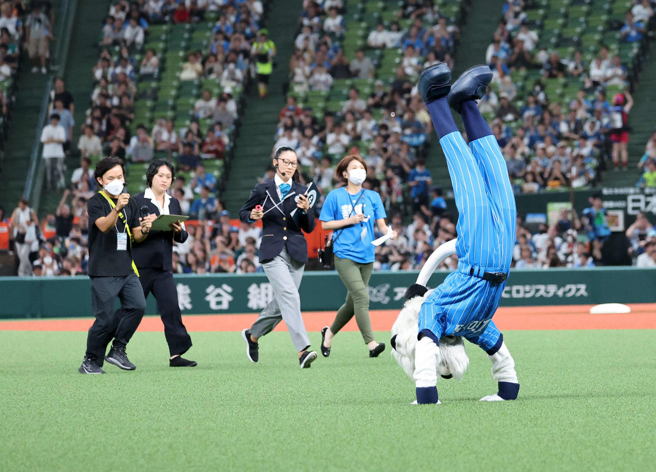 ギネス世界記録に挑戦する西武マスコットのレオ（撮影・鈴木正人）