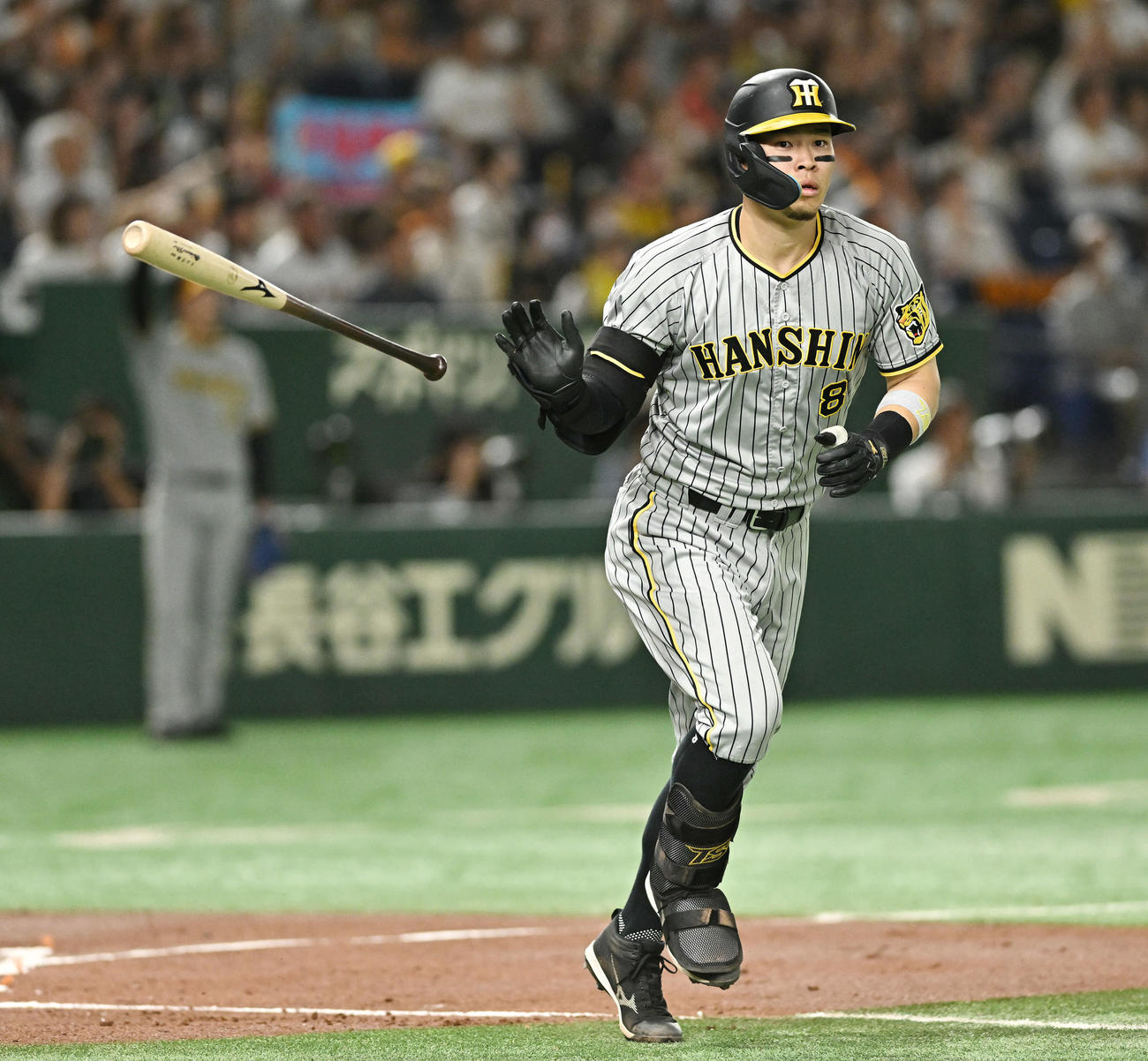 巨人対阪神　2回表阪神無死、佐藤輝明は先制ソロ本塁打を放ちバットを投げる（撮影・滝沢徹郎）