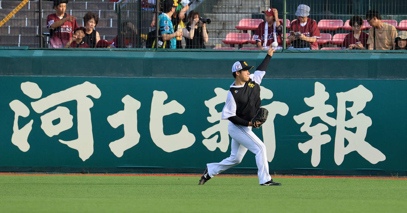 楽天対ソフトバンク　試合前練習でキャッチボールするソフトバンク松本晴（撮影・浅見桂子）