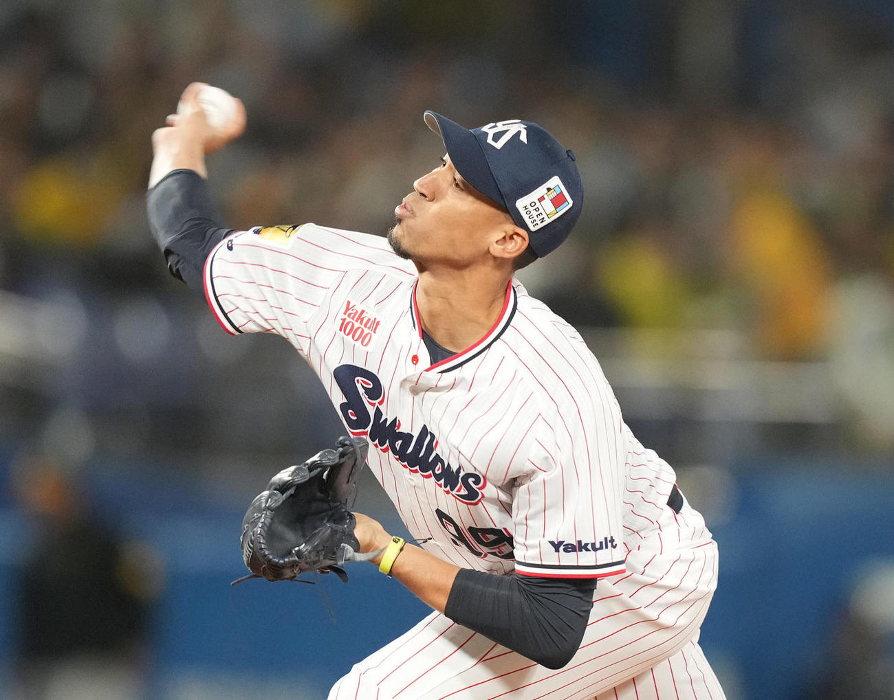ヤクルト・エスピナル（2023年5月23日撮影）