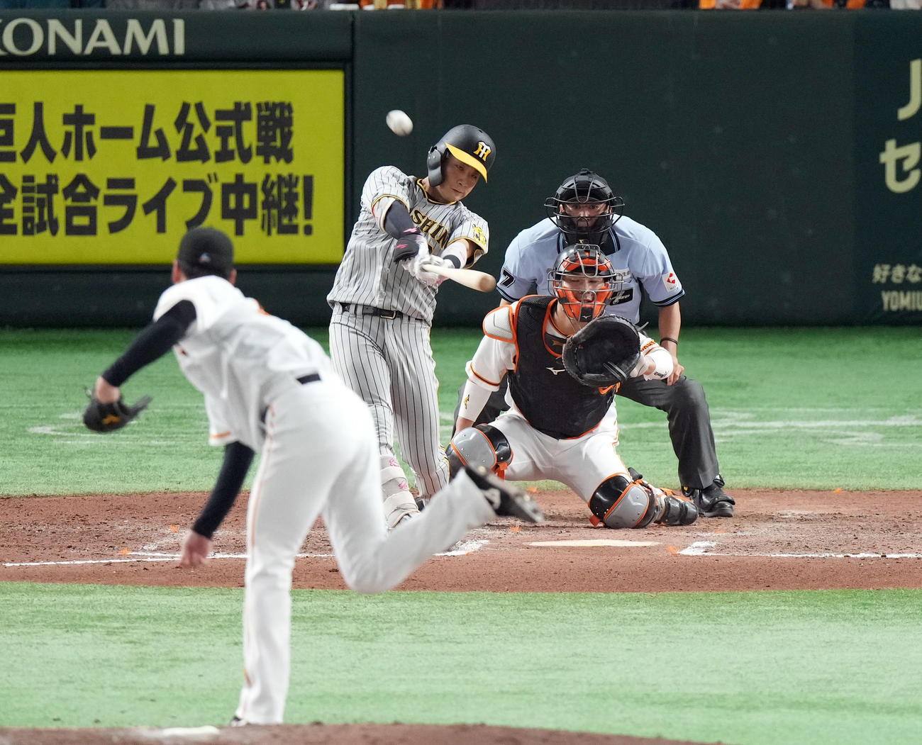 巨人対阪神　7回表阪神1死満塁、満塁本塁打を放つ木浪。投手鈴木康（撮影・狩俣裕三）
