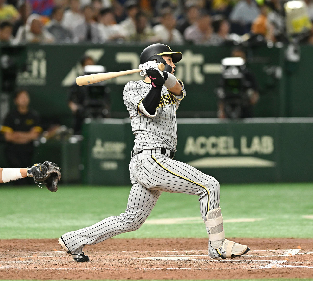 巨人対阪神　7回表阪神1死満塁、木浪は右越え満塁本塁打を放つ（撮影・滝沢徹郎）