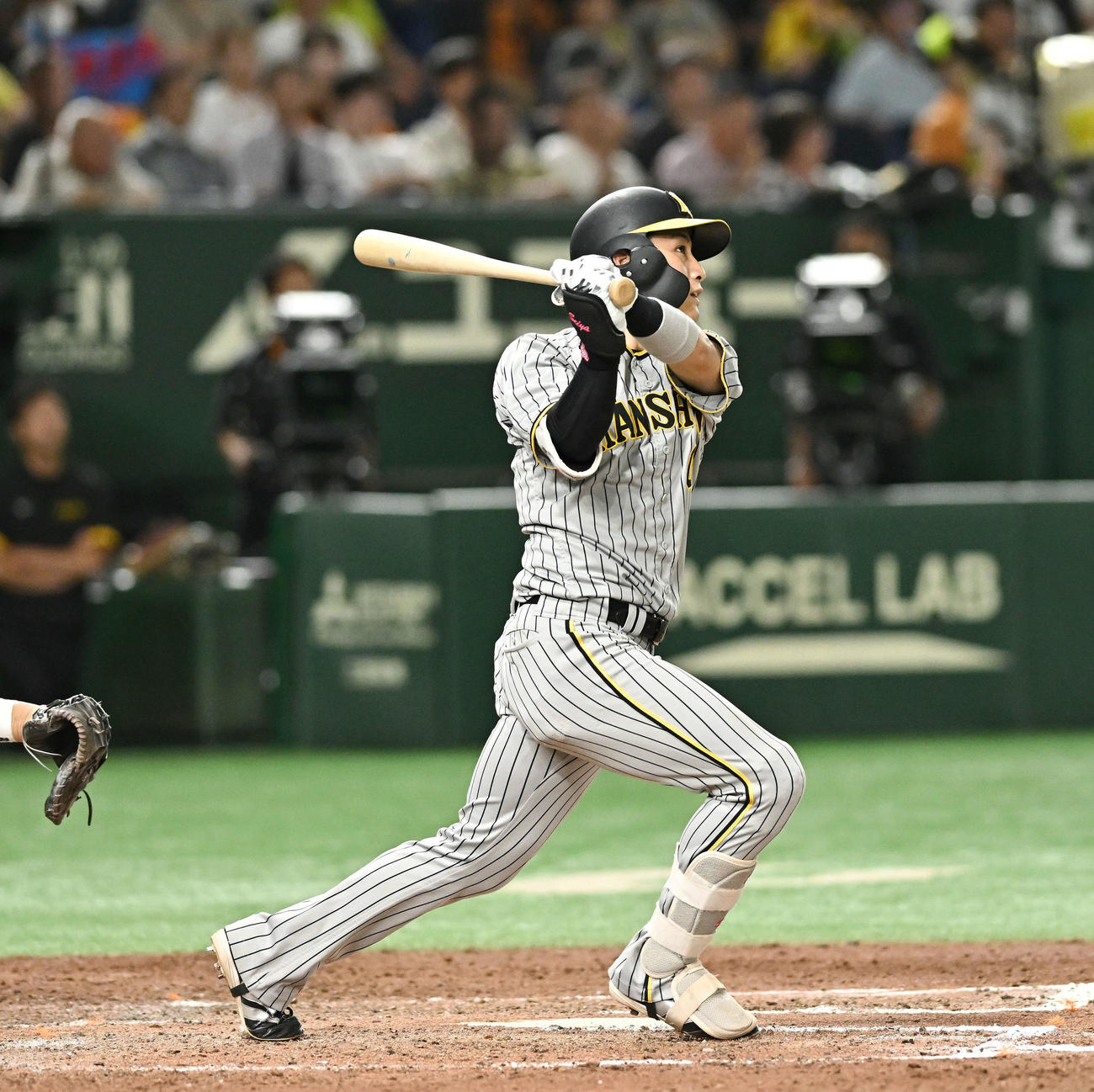 巨人対阪神　7回表阪神1死満塁、木浪は右越え満塁本塁打を放つ（撮影・滝沢徹郎）