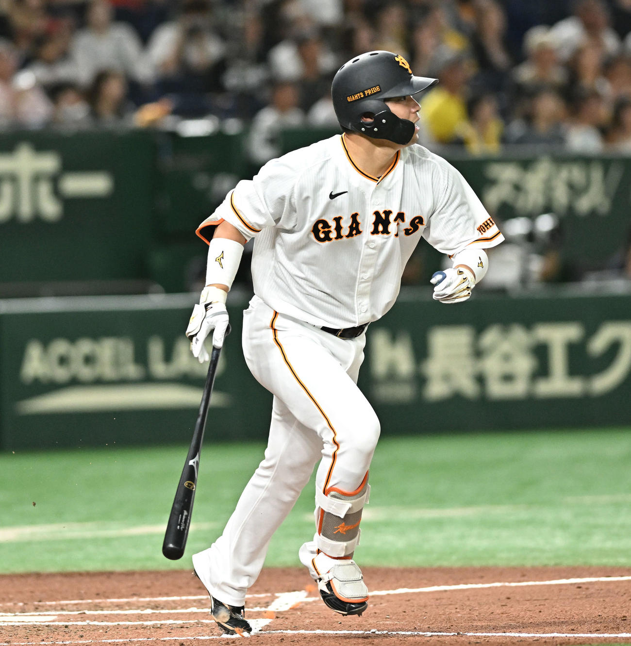 巨人対阪神　6回裏巨人無死、代打大城卓は中越えソロ本塁打を放つ（撮影・滝沢徹郎）