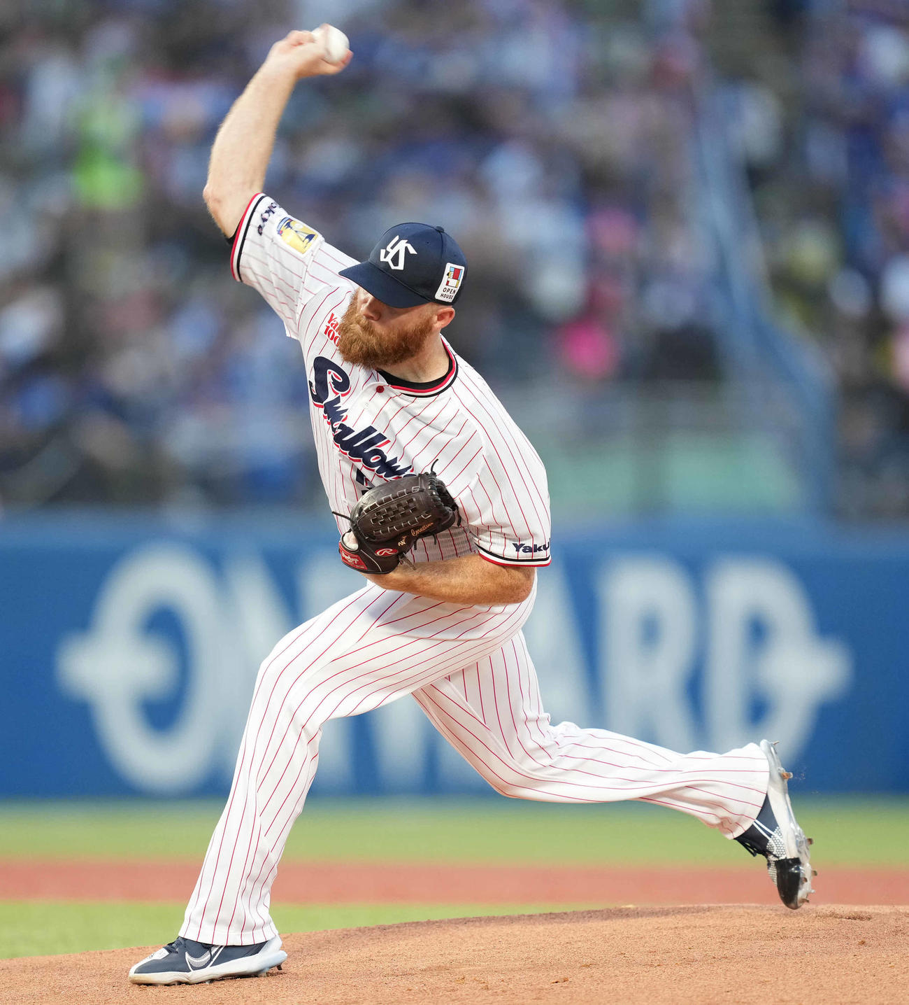 ヤクルト・サイスニード（2023年8月20日撮影）