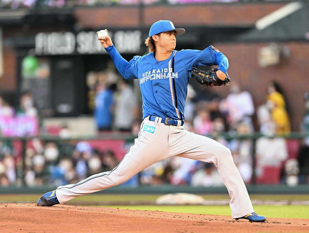 日本ハム田中瑛斗（22年7月30日撮影）